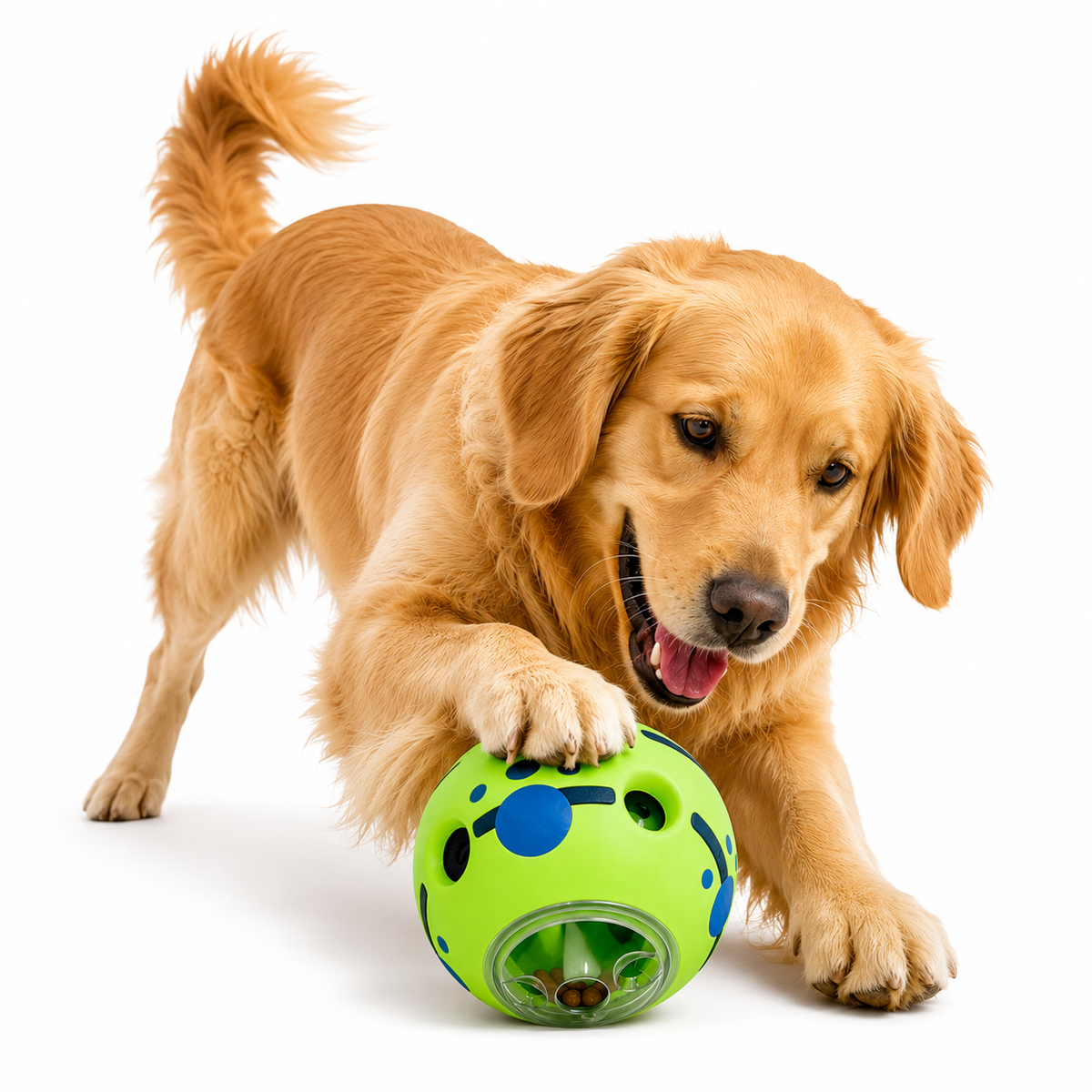 Dog Giggle Ball